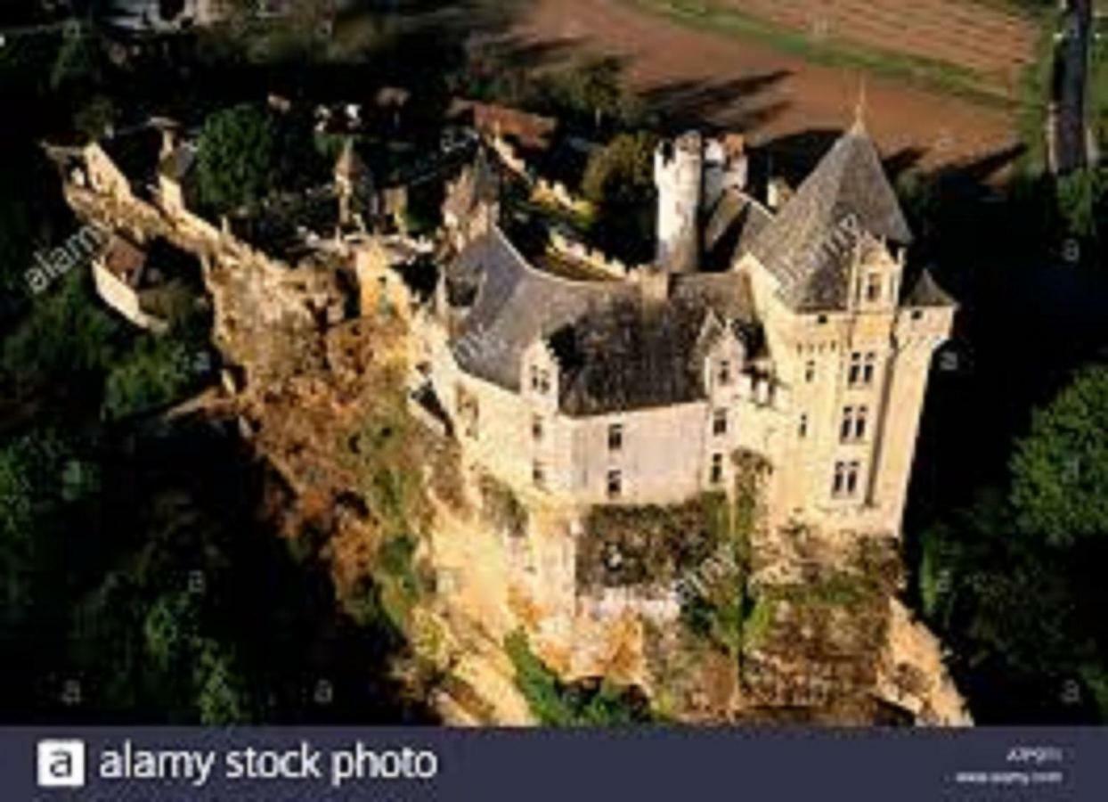 Вилла Les Pruniers De La Cipiere Peyzac-le-Moustier Экстерьер фото