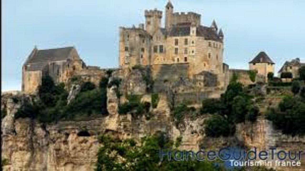 Вилла Les Pruniers De La Cipiere Peyzac-le-Moustier Экстерьер фото