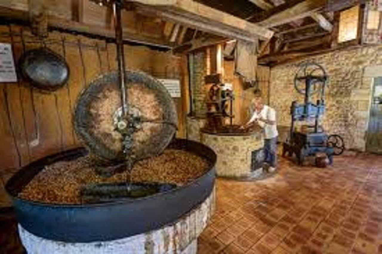 Вилла Les Pruniers De La Cipiere Peyzac-le-Moustier Экстерьер фото