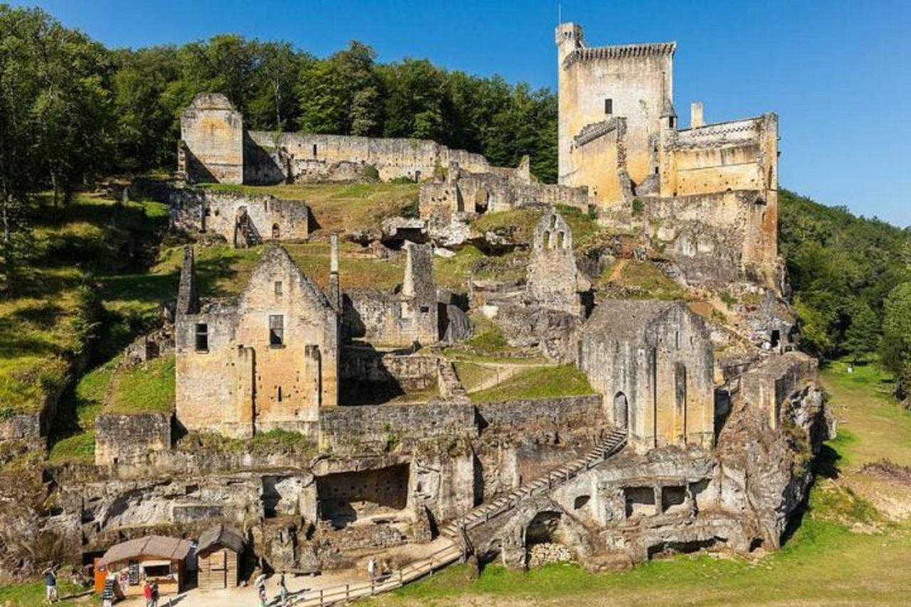 Вилла Les Pruniers De La Cipiere Peyzac-le-Moustier Экстерьер фото